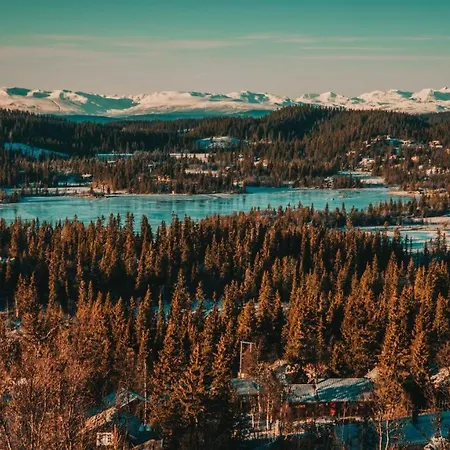 Danebu Kongsgaard - Boutique 3* Aurdal