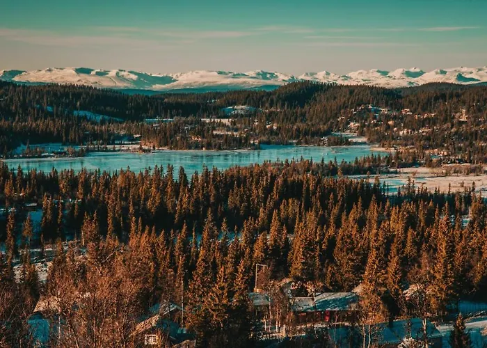 Danebu Kongsgaard - Boutique 3* Aurdal