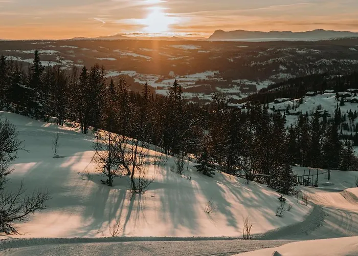 Danebu Kongsgaard - Boutique מלון