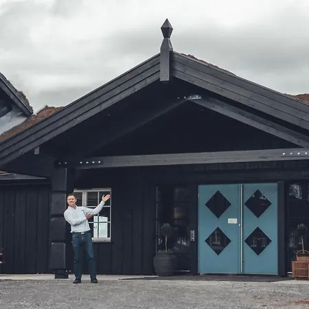 Отель Danebu Kongsgaard - Boutique Aurdal